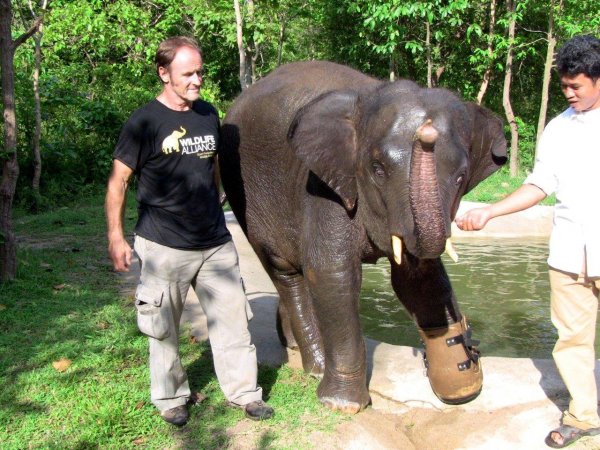 15772345_a9a907abef19c8dbde152b6a1d8aa581_xl