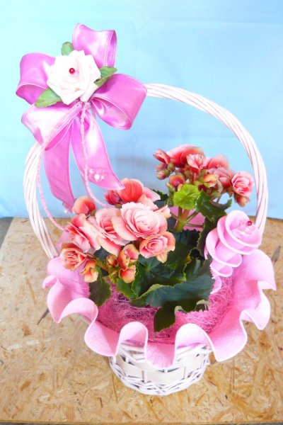 3967899_d96883ac45009663238cd2b68936491a_xl