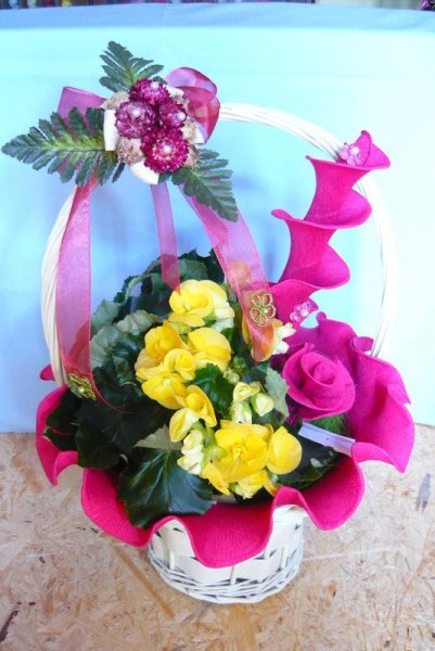 3967913_b00b2dbe9948539c69e375fed5f79913_l