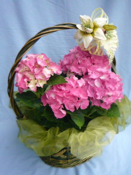 7723163_17ffbaaecd4296b8c7d6ee6642f8a587_xl